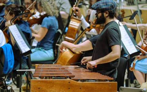 Scene from an orchestra, a percussionist is playing the marimba and is photographed from the side.