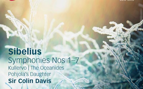 The album cover for Sibelius' Complete Symphonies, conducted by Sir Colin Davis featuring the album information in front of some plants covered in frost.