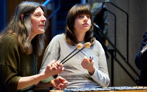 Two people playing a musical instrument. they are holding hands and one of them is showing the other how to use the malletts.